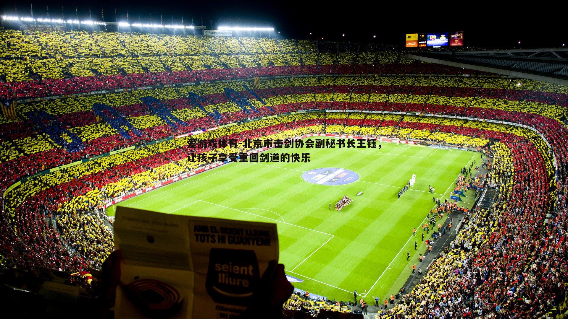 爱游戏体育-北京市击剑协会副秘书长王钰，让孩子享受重回剑道的快乐