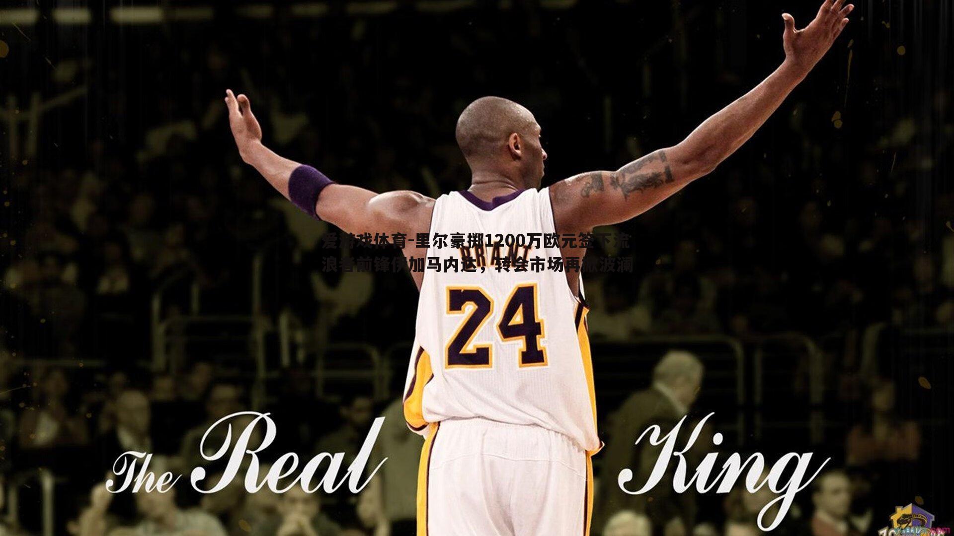 爱游戏体育-里尔豪掷1200万欧元签下流浪者前锋伊加马内达，转会市场再掀波澜