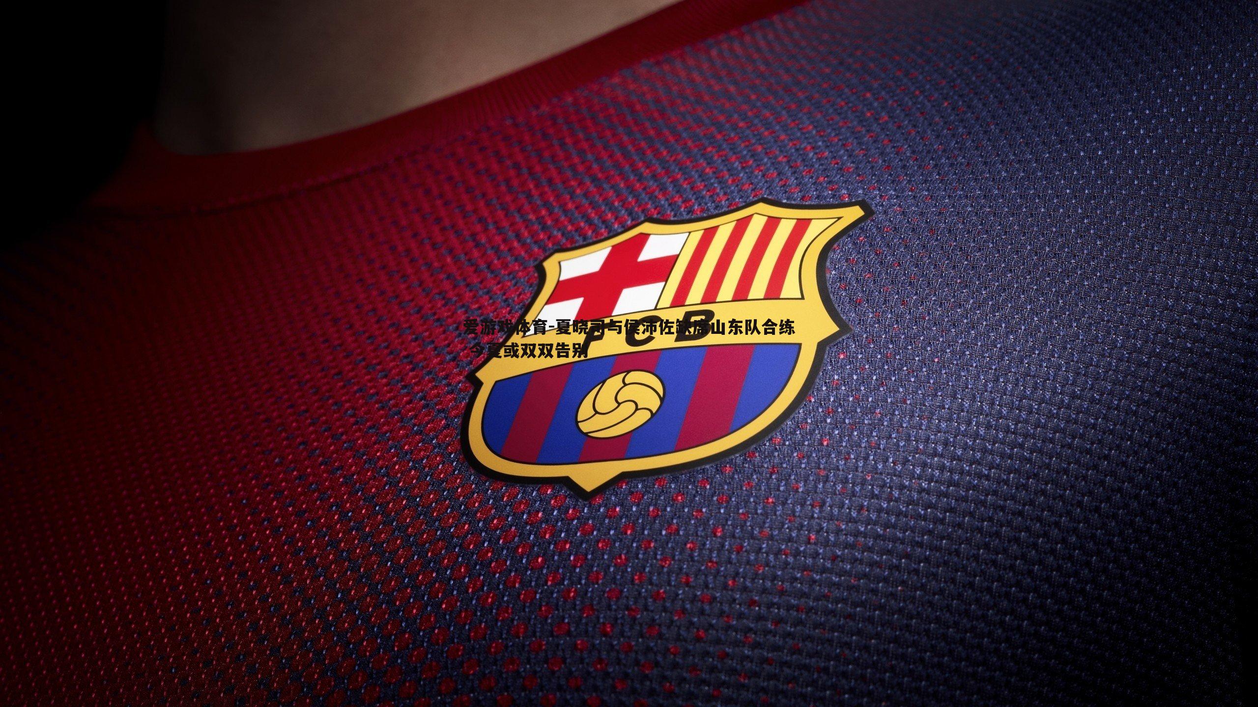 爱游戏体育-夏晓司与侯沛佐缺席山东队合练 今夏或双双告别